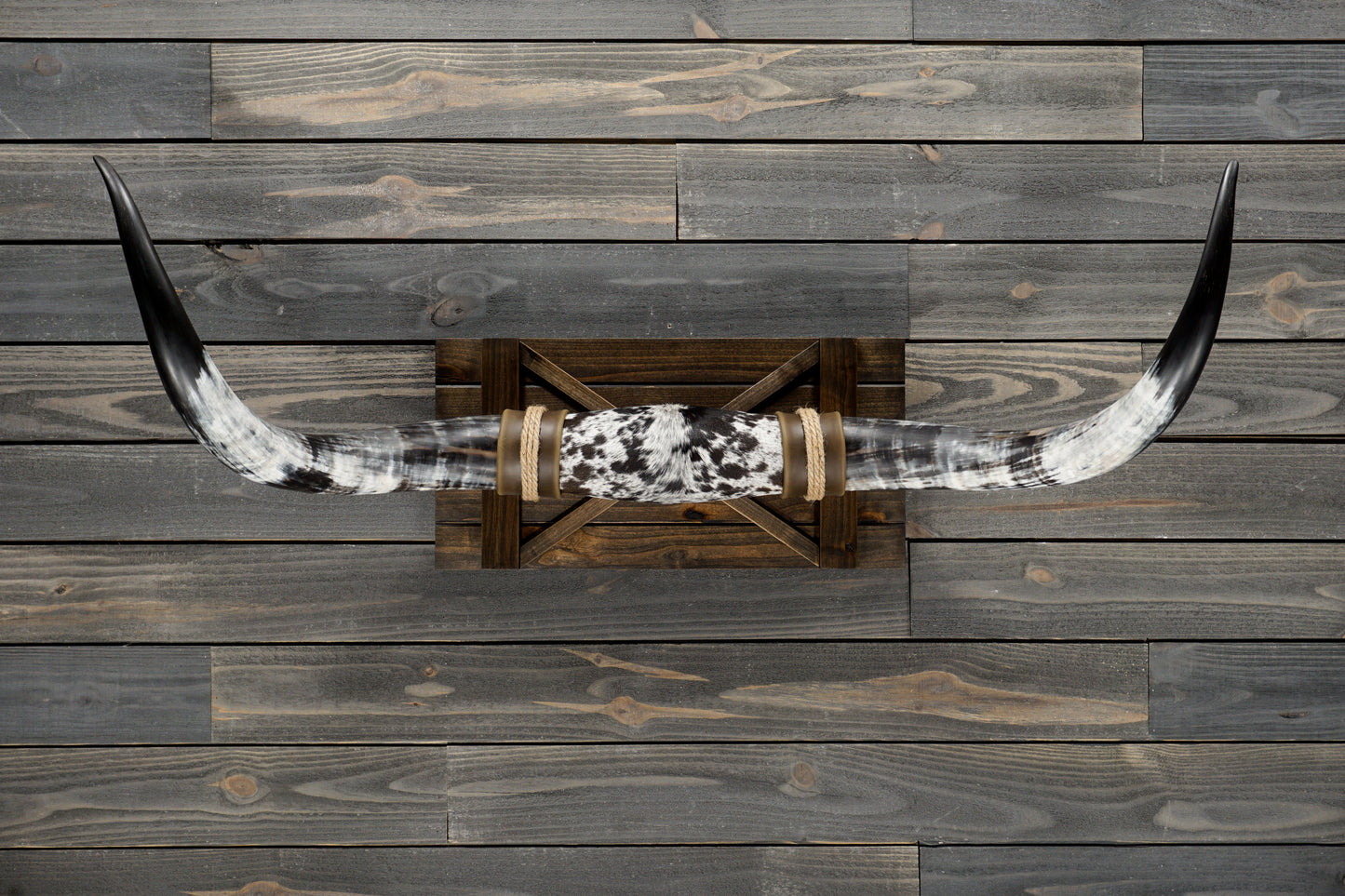 4' 4" Longhorn Wall Mount #333