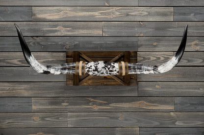 4' 4" Longhorn Wall Mount #333