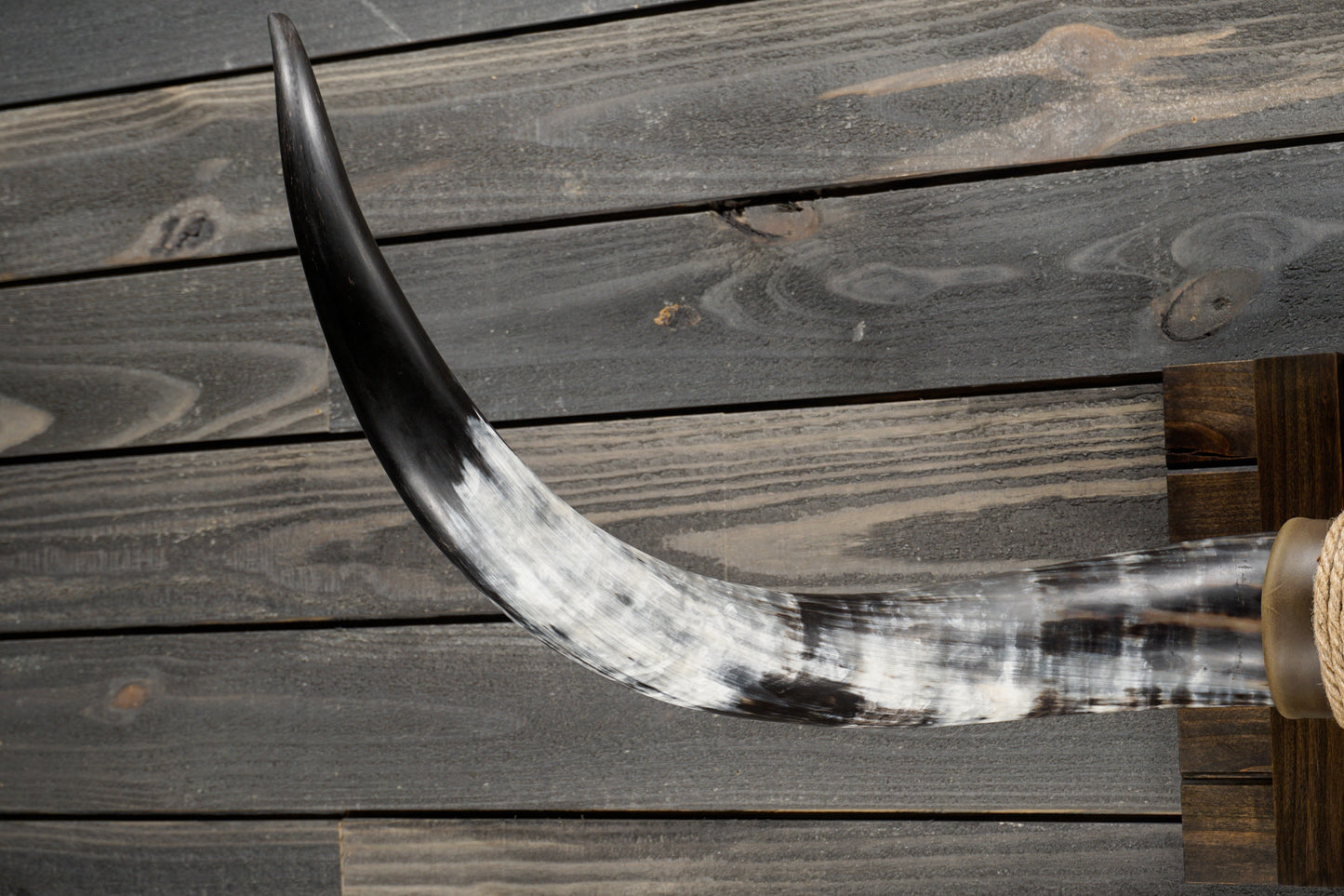 4' 4" Longhorn Wall Mount #333