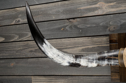4' 4" Longhorn Wall Mount #333