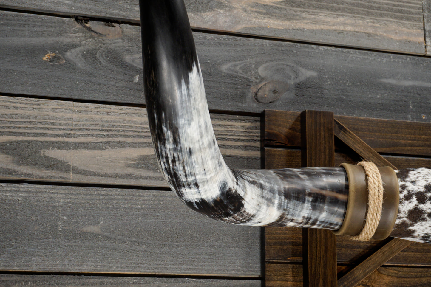 4' 4" Longhorn Wall Mount #333