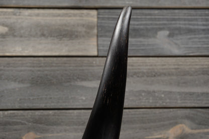 4' 4" Longhorn Wall Mount #333