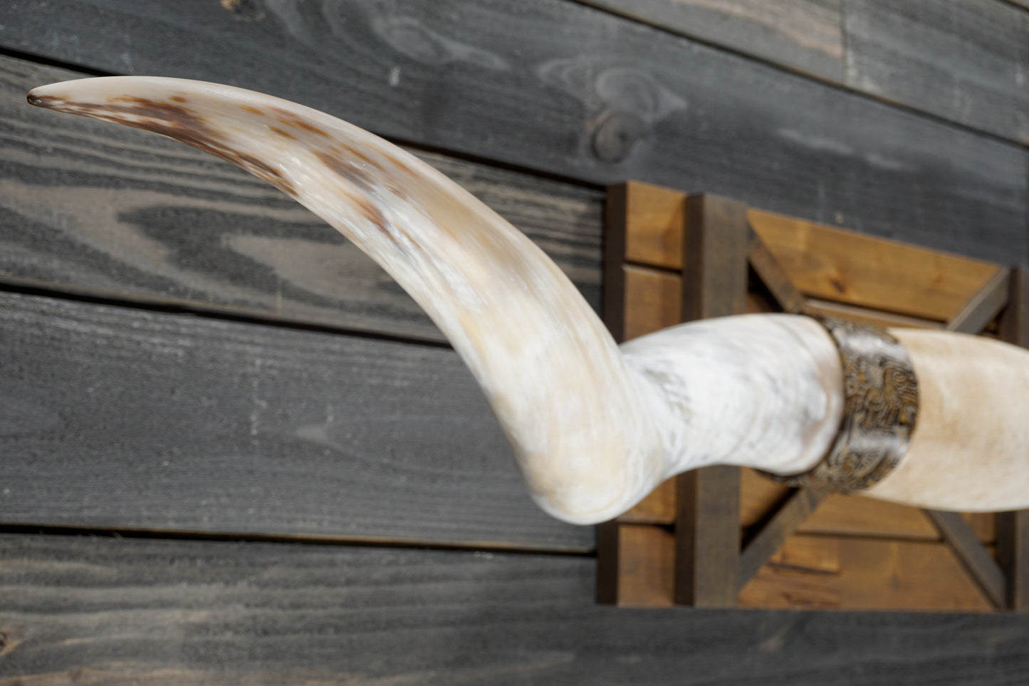 6' 6" Longhorn Wall Mount #324