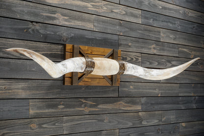 6' 6" Longhorn Wall Mount #324