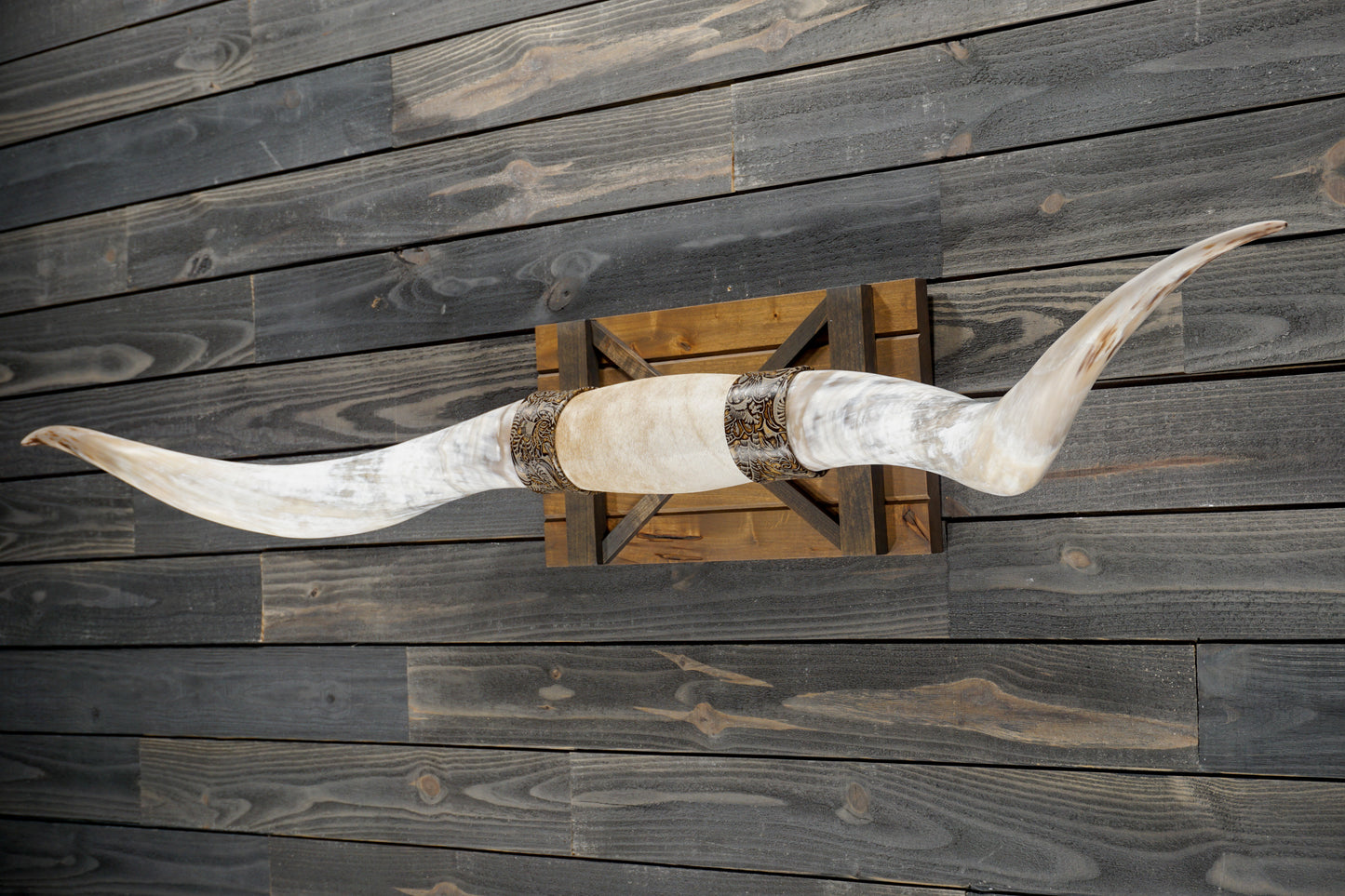 6' 6" Longhorn Wall Mount #324