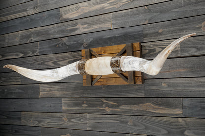 6' 6" Longhorn Wall Mount #324