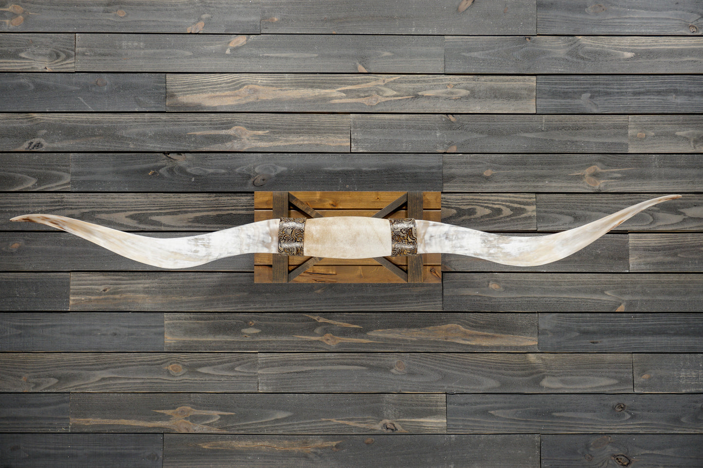 6' 6" Longhorn Wall Mount #324