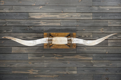 6' 6" Longhorn Wall Mount #324