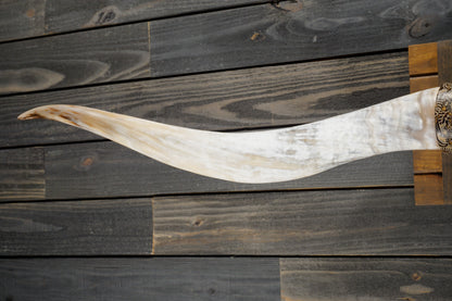 6' 6" Longhorn Wall Mount #324
