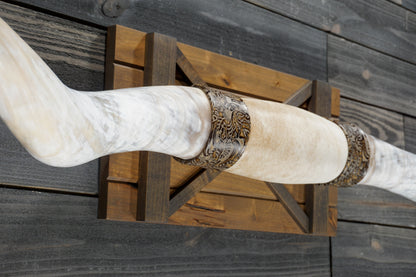 6' 6" Longhorn Wall Mount #324
