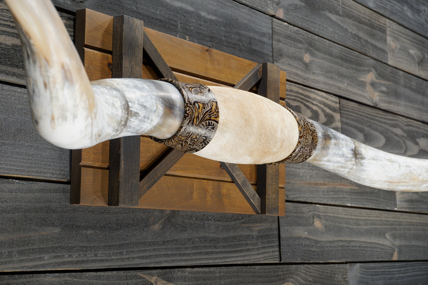 6' 8" Longhorn Wall Mount #338