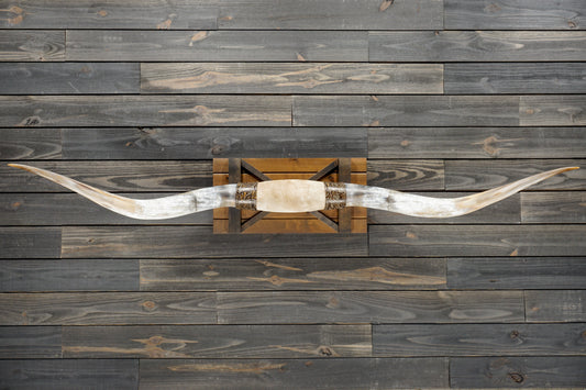 6' 8" Longhorn Wall Mount #338