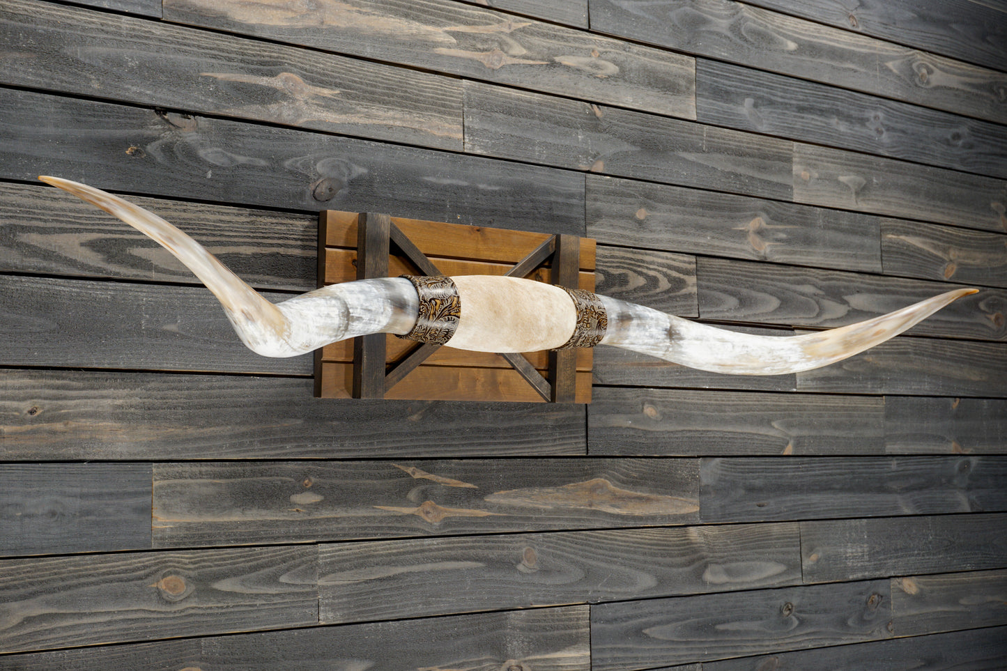 6' 8" Longhorn Wall Mount #338