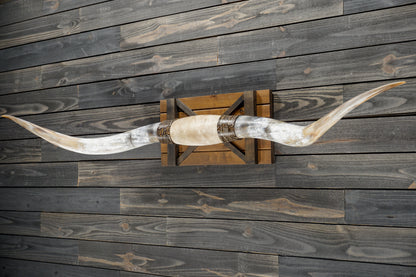 6' 8" Longhorn Wall Mount #338