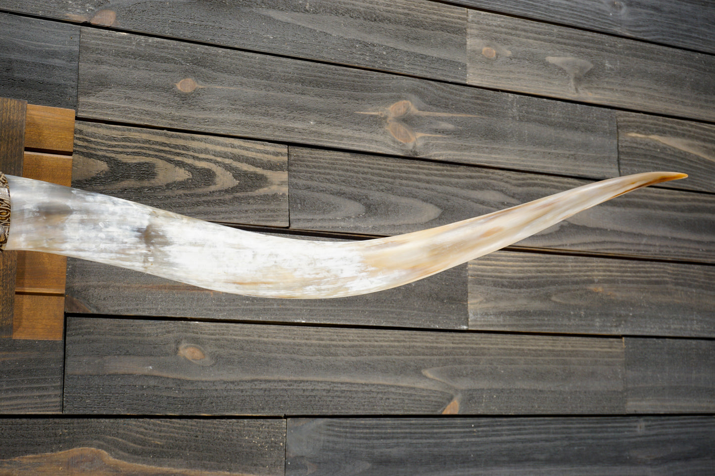 6' 8" Longhorn Wall Mount #338