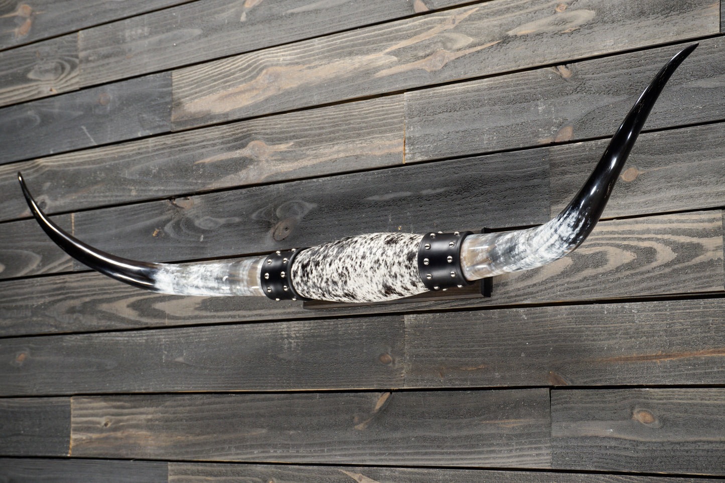 4' 10" Longhorn Wall Mount #315