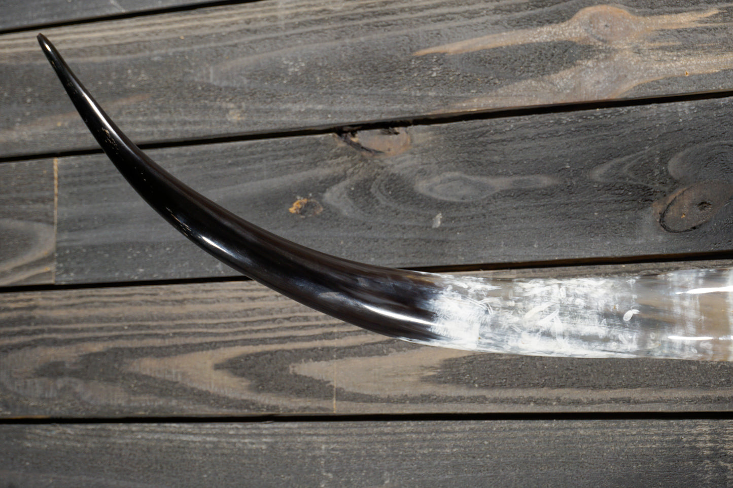 4' 10" Longhorn Wall Mount #315