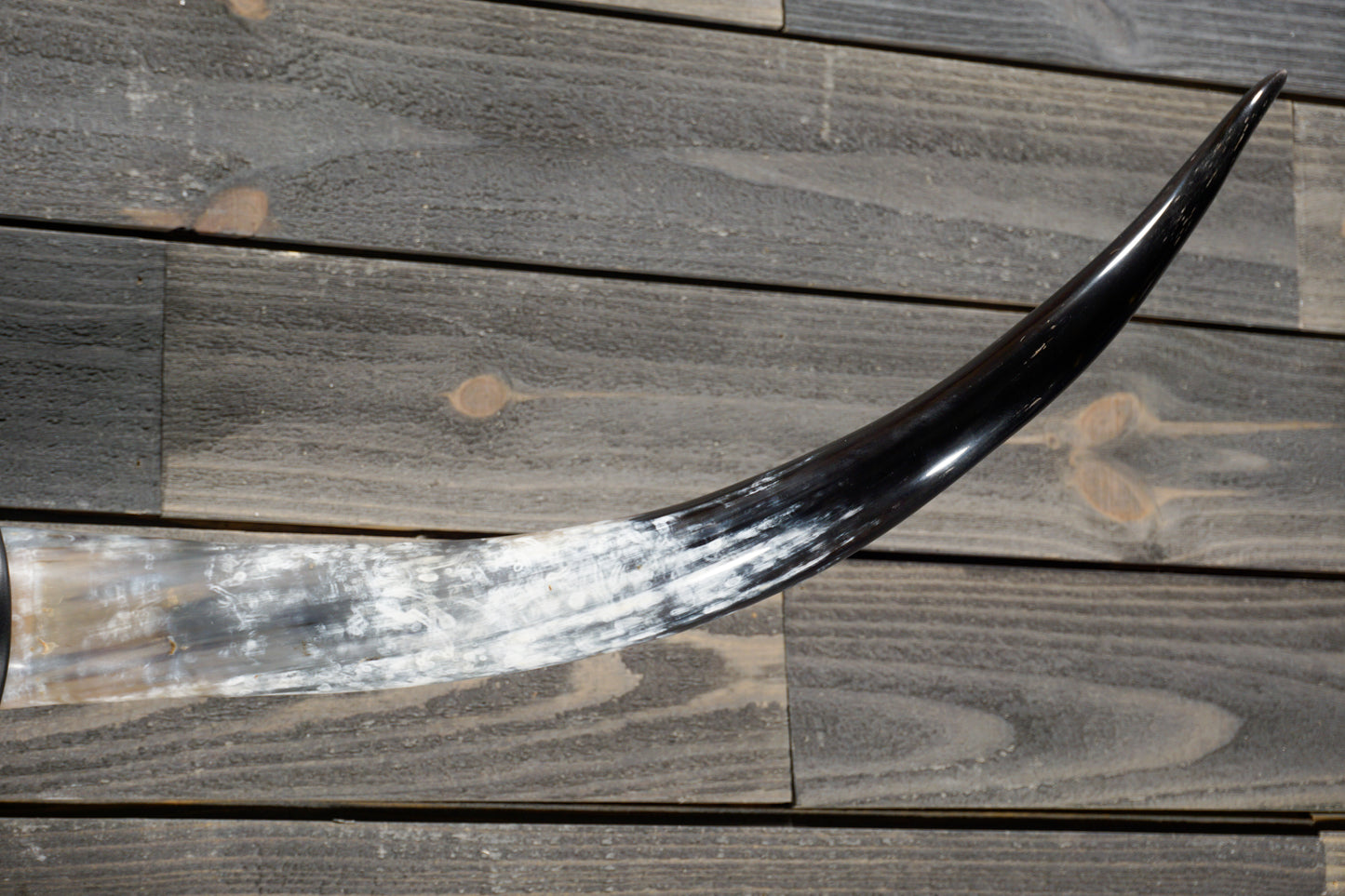4' 10" Longhorn Wall Mount #315