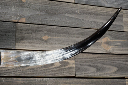 4' 10" Longhorn Wall Mount #315
