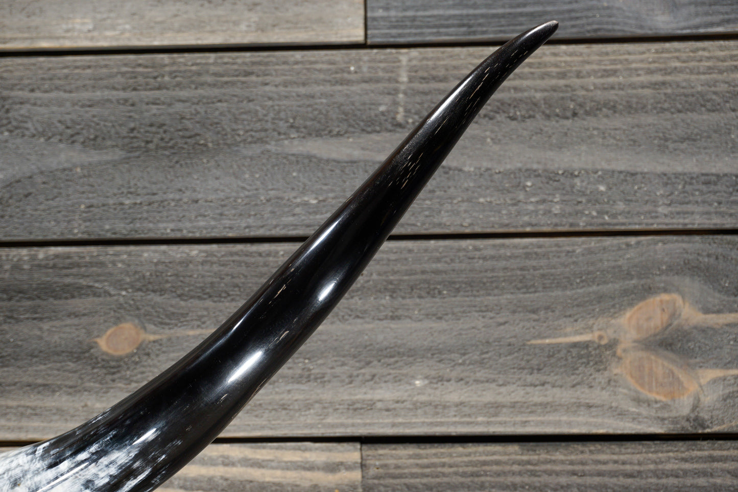4' 10" Longhorn Wall Mount #315