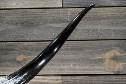 4' 10" Longhorn Wall Mount #315