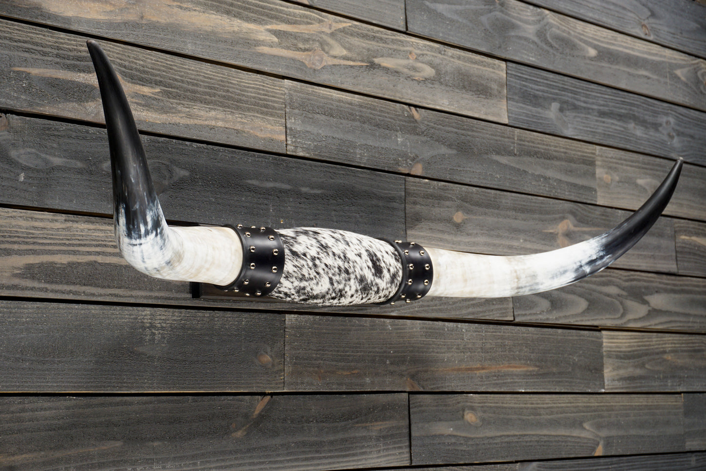 4' 3" Longhorn Wall Mount #327