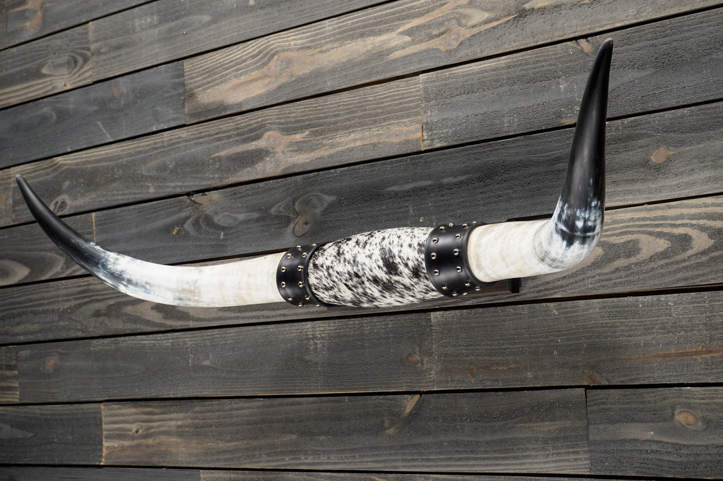 4' 3" Longhorn Wall Mount #327
