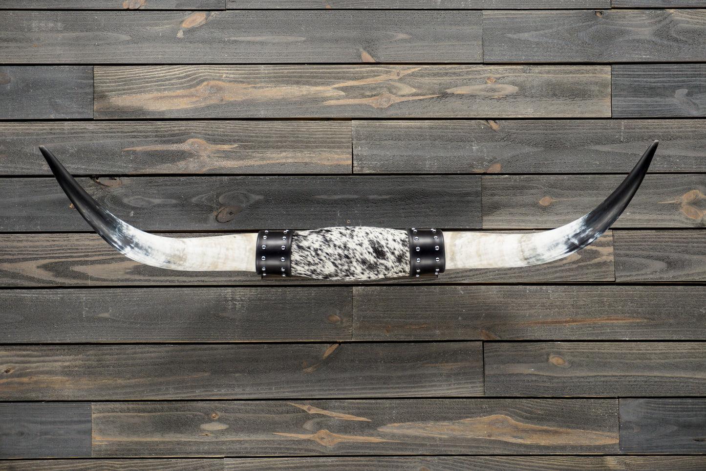 4' 3" Longhorn Wall Mount #327
