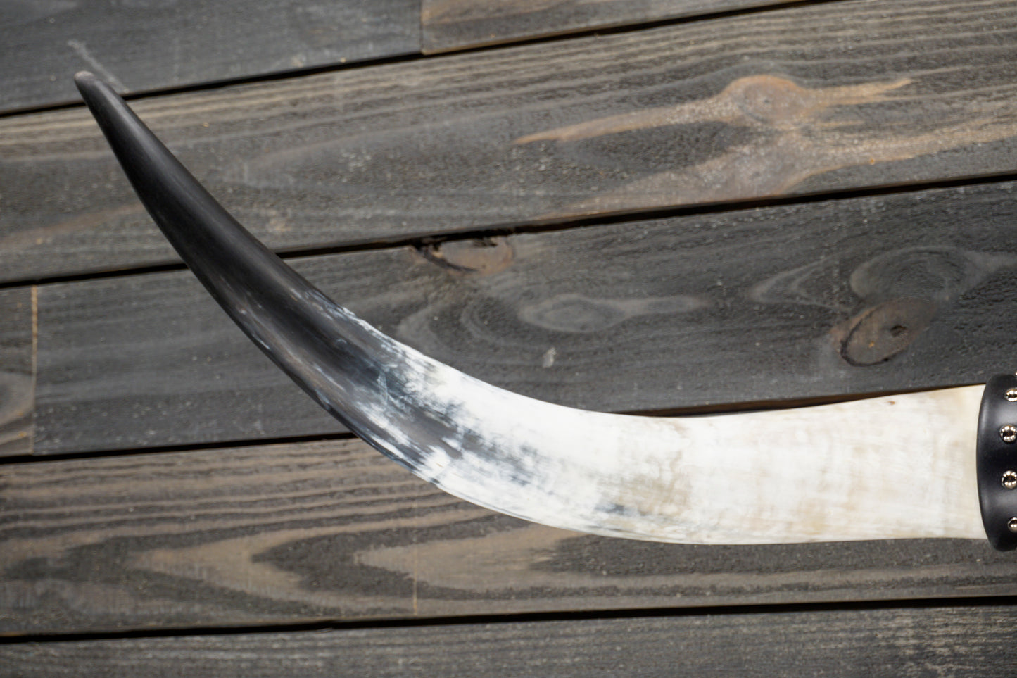 4' 3" Longhorn Wall Mount #327