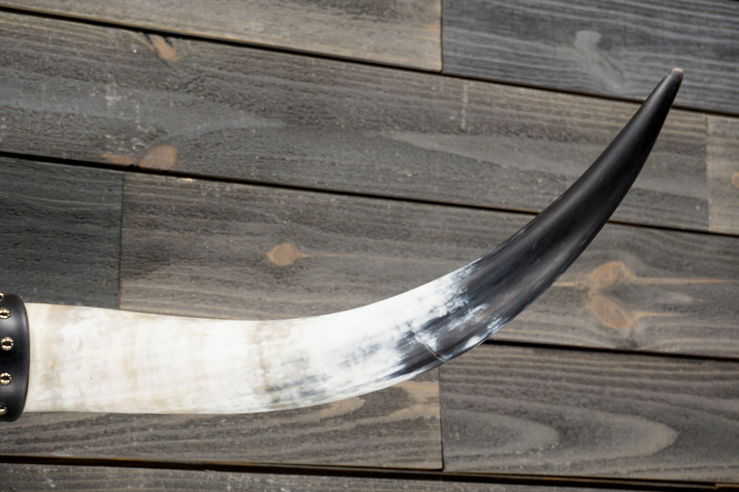 4' 3" Longhorn Wall Mount #327