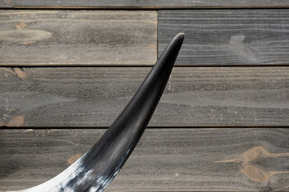 4' 3" Longhorn Wall Mount #327