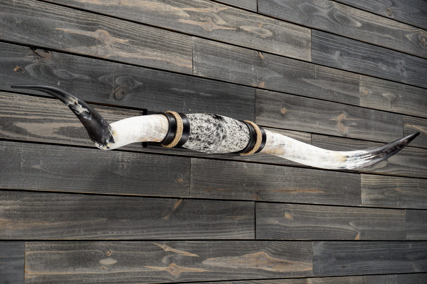 5' 5" Longhorn Wall Mount #347