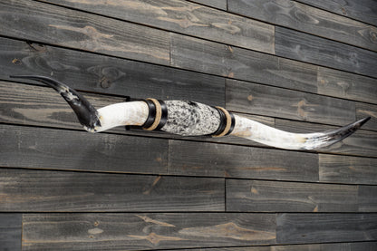 5' 5" Longhorn Wall Mount #347