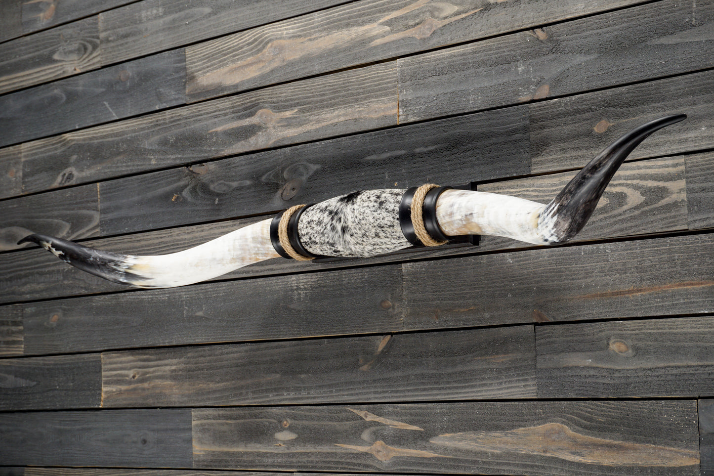 5' 5" Longhorn Wall Mount #347