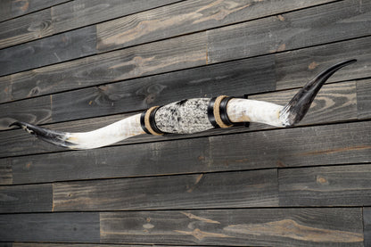 5' 5" Longhorn Wall Mount #347