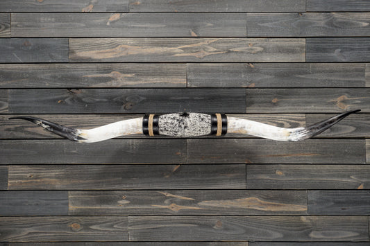 5' 5" Longhorn Wall Mount #347