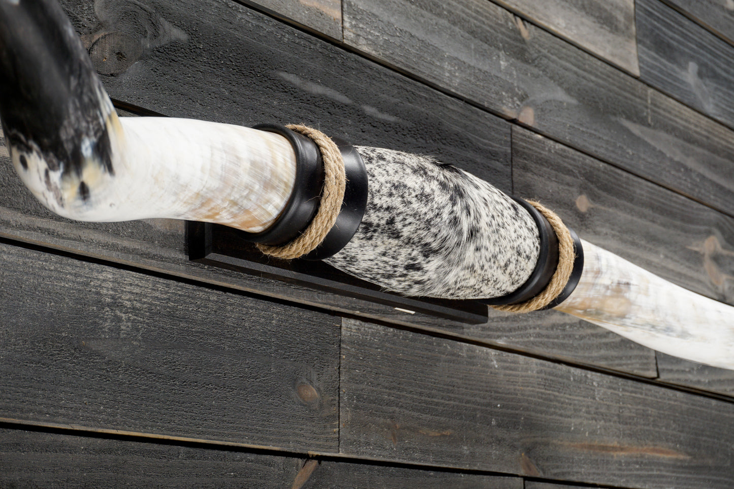 5' 5" Longhorn Wall Mount #347