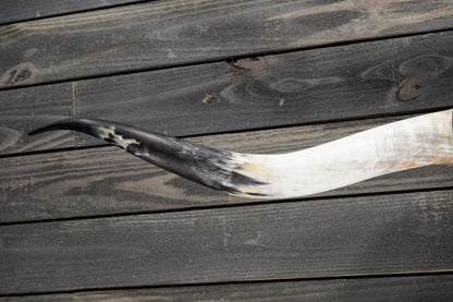 5' 5" Longhorn Wall Mount #347
