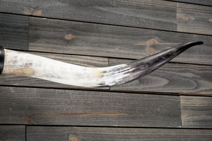 5' 5" Longhorn Wall Mount #347