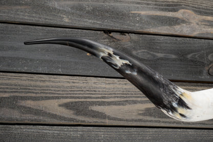 5' 5" Longhorn Wall Mount #347