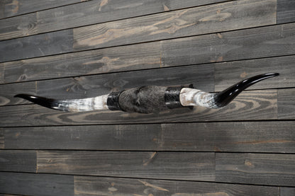 5' 4" Longhorn Wall Mount #268