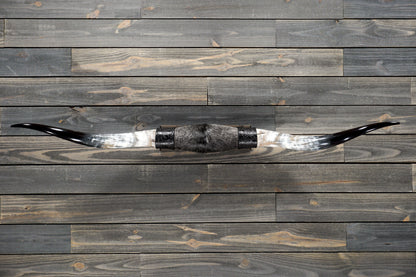 5' 4" Longhorn Wall Mount #268