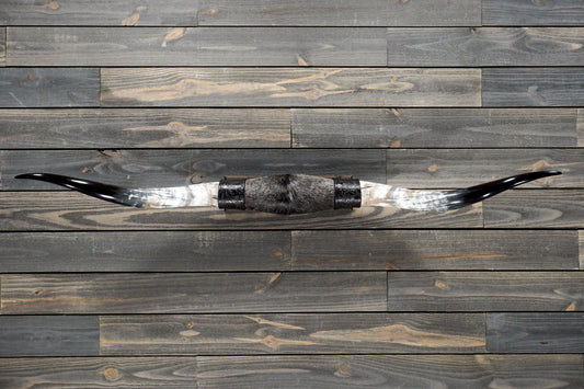 5' 4" Longhorn Wall Mount #268