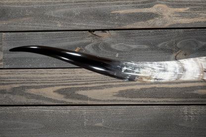 5' 4" Longhorn Wall Mount #268