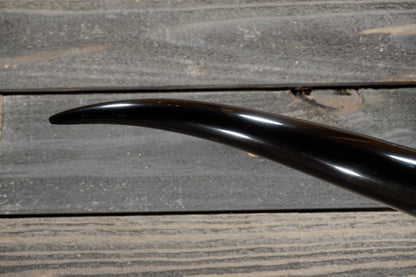 5' 4" Longhorn Wall Mount #268