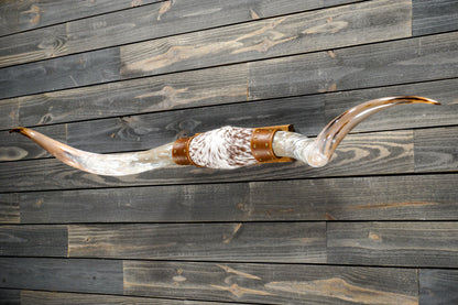 5' 8" Longhorn Wall Mount #281