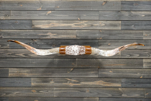 5' 8" Longhorn Wall Mount #281