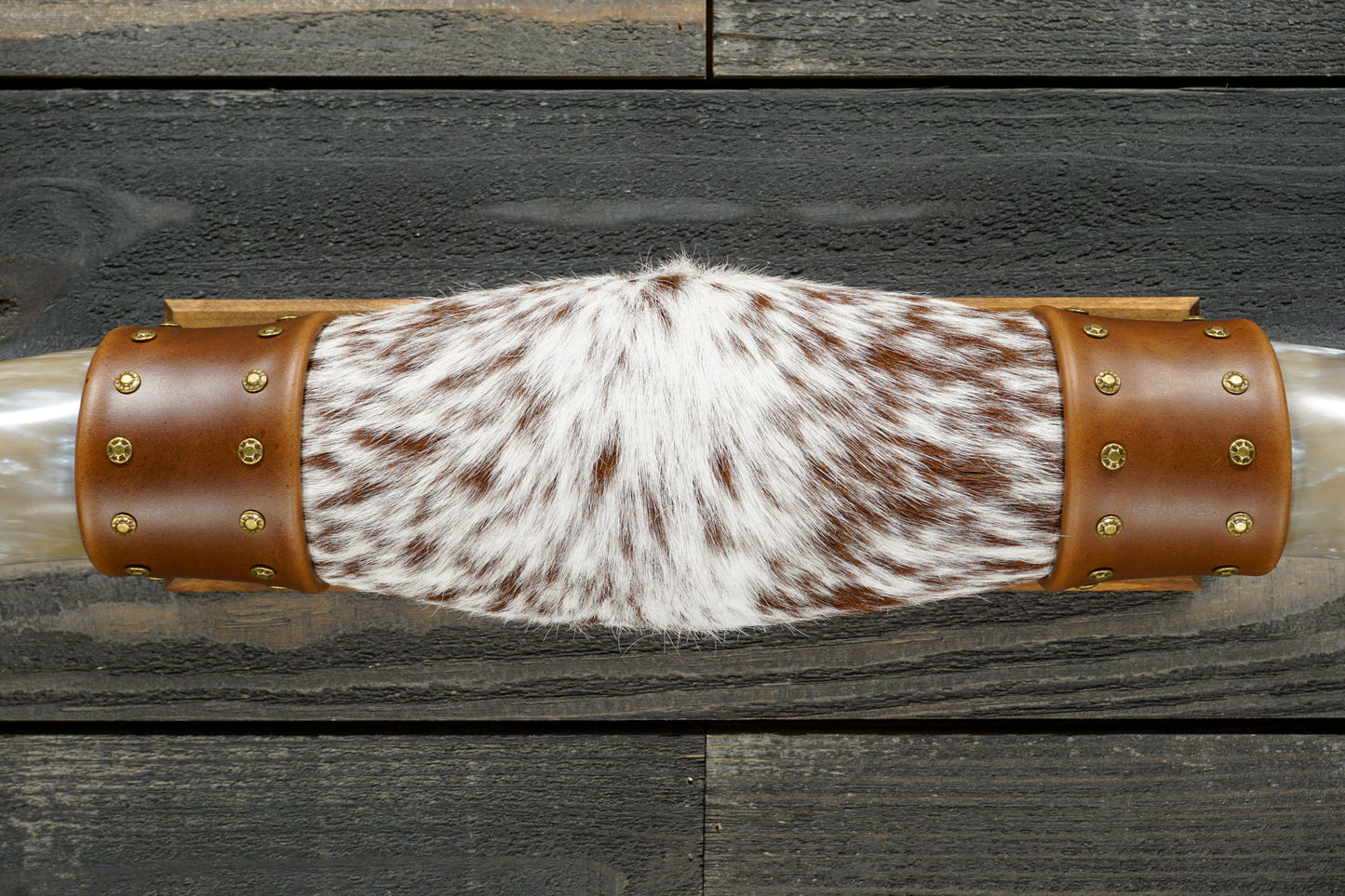 5' 8" Longhorn Wall Mount #281