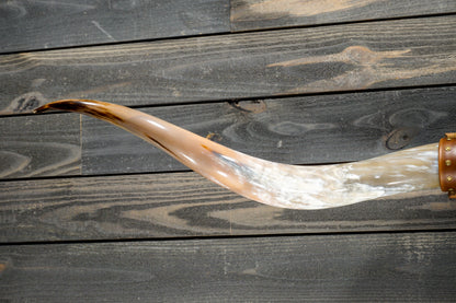 5' 8" Longhorn Wall Mount #281