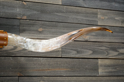 5' 8" Longhorn Wall Mount #281